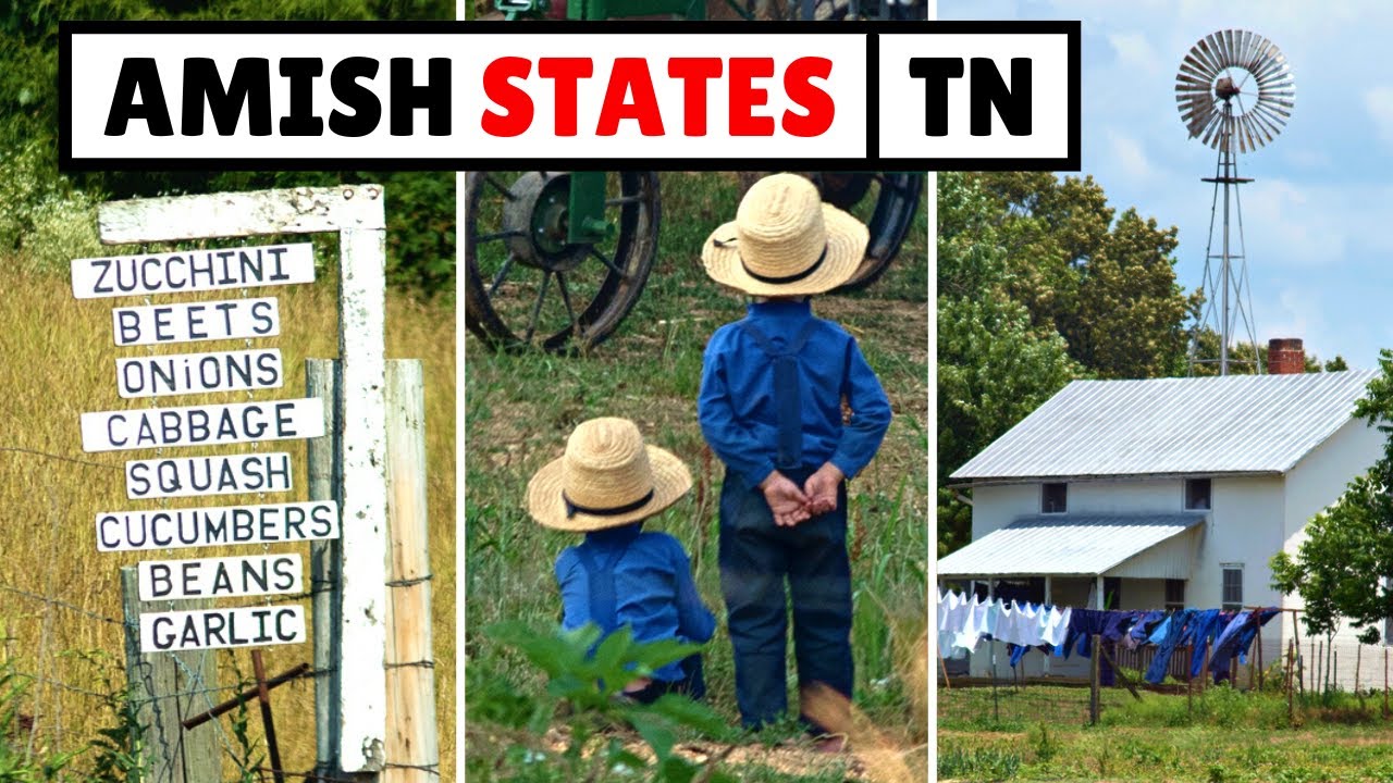The Amish in Tennessee (12+ Communities)