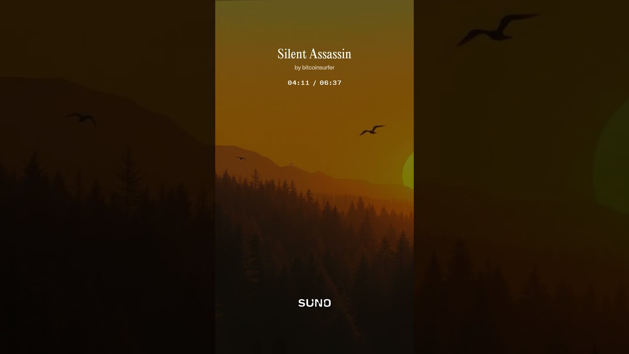 Silent Assassin