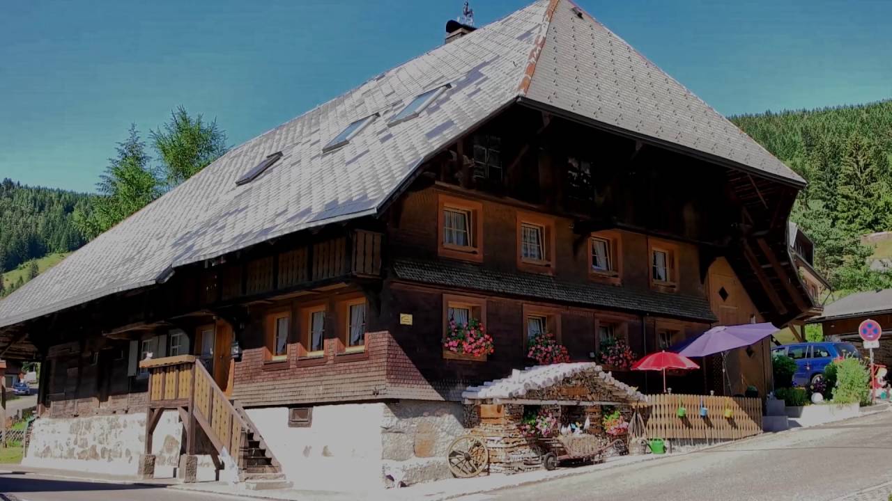 Hochschwarzwald Video
