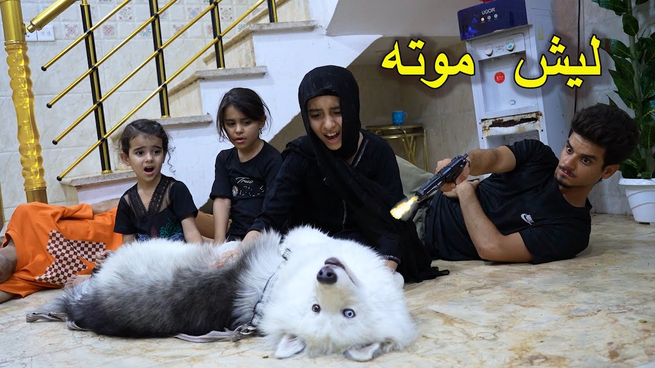 كلب شجاع يضحي بروحه علمود طفله