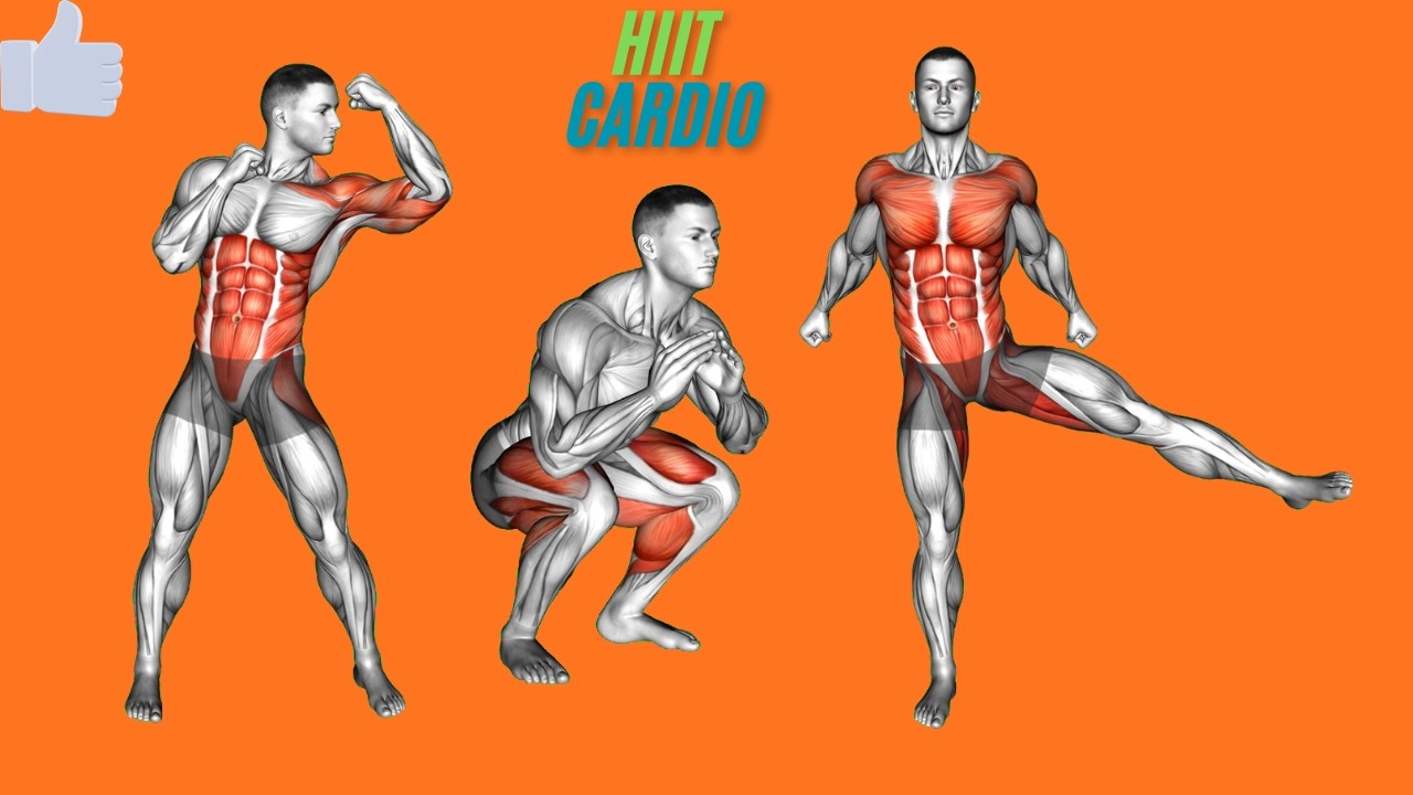 The Ultimate Athletic HIIT Routine | Box Jumps & Core