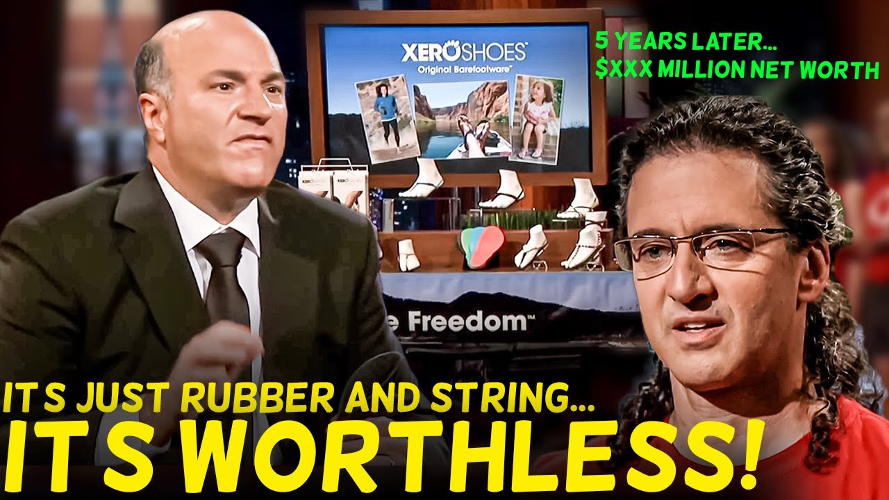 Where Are the Rejected Shark Tank Pitches That Made Billions? Update Xero Shoe Bedjet Hammer & Nails