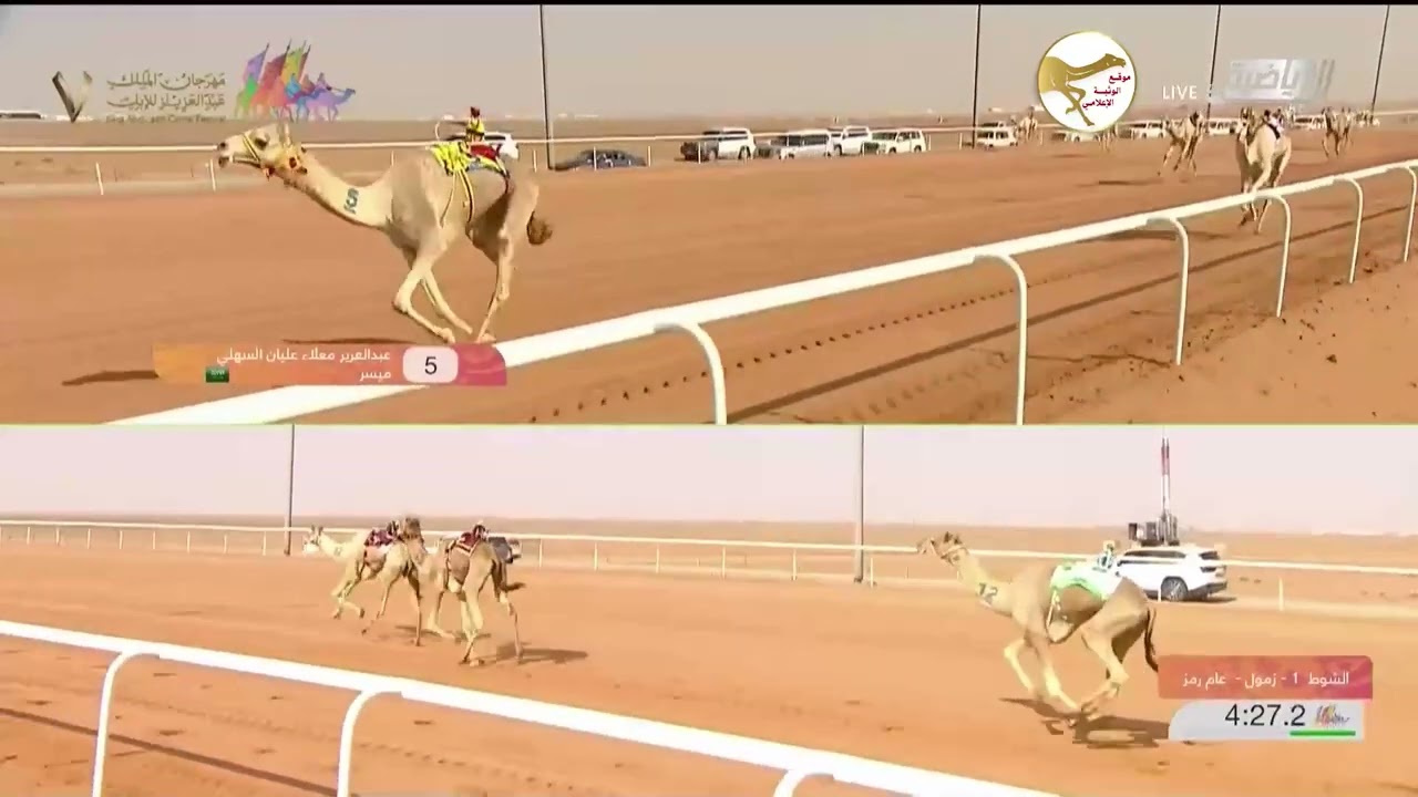 الشوط 1بندقية الزمول العام (هتاش) لـ علي حمد هزاع أبوشريده 12:49 , مهرجان الملك عبد العزيز 2023/1/13