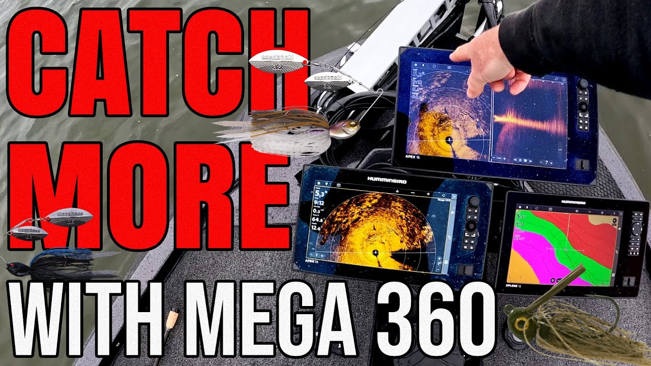 Используйте MEGA 360 для ловли большего количества окуней на спиннербейты и джиги.