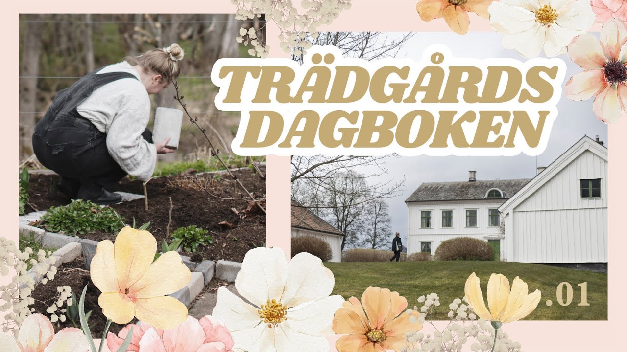Allt jag ska s&aring;, odlingsplan, tr&auml;dg&aring;rds-tour & f&ouml;rra s&auml;songens l&auml;rdomar 🌱 🌸 | Tr&auml;dg&aring;rdsdagboken .01