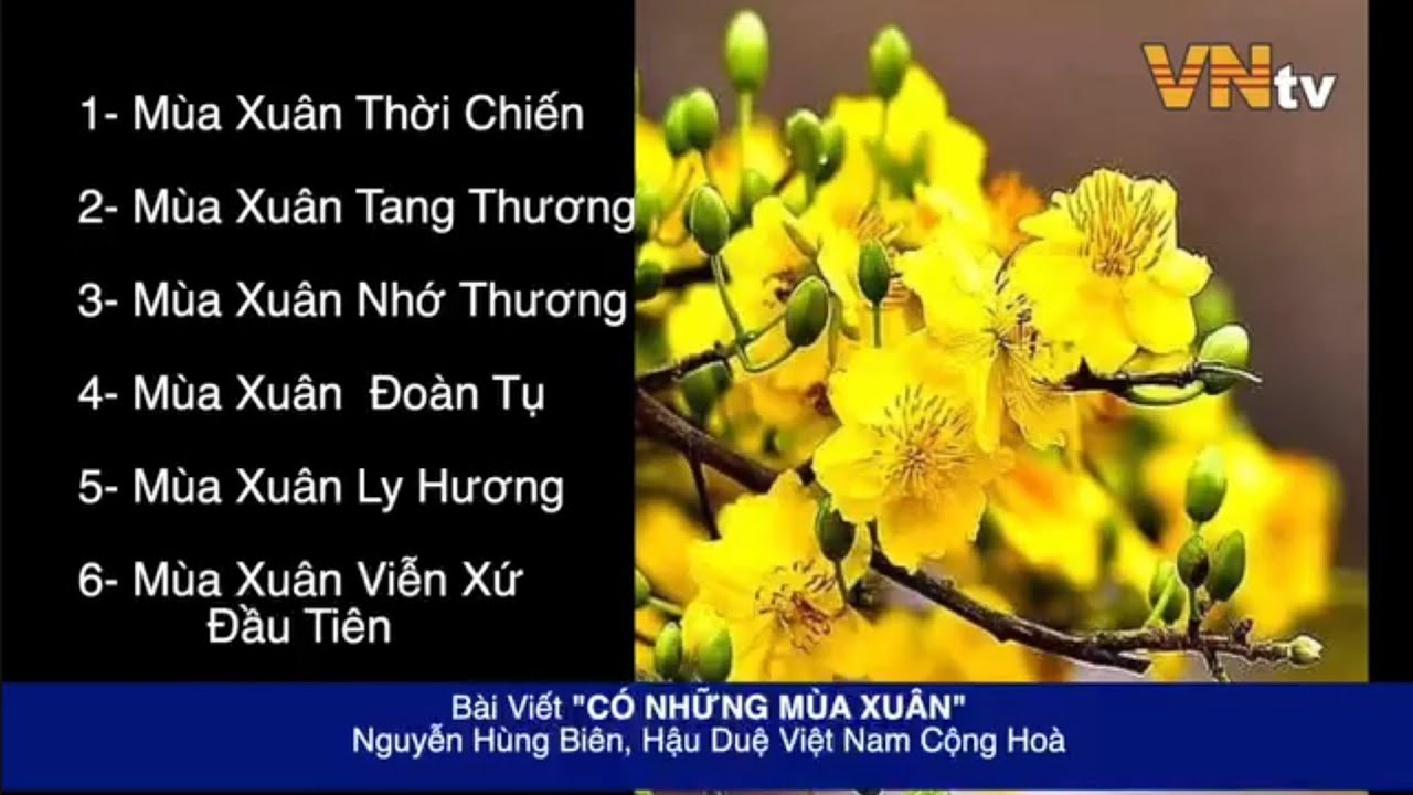 Bài Viết 