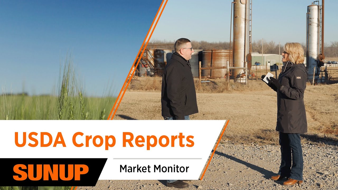 Why Did Corn Prices Fall? | Market Monitor