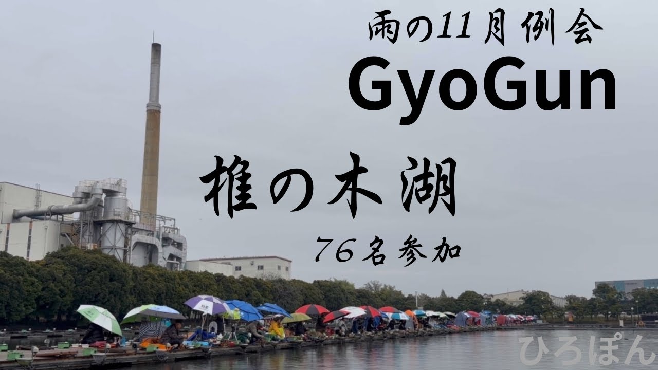 GyoGun   11月例会　椎の木湖　ヘラブナ釣り　76名参加　管理釣り場　埼玉県羽生市　#へらぶな釣り #fishing #釣り 