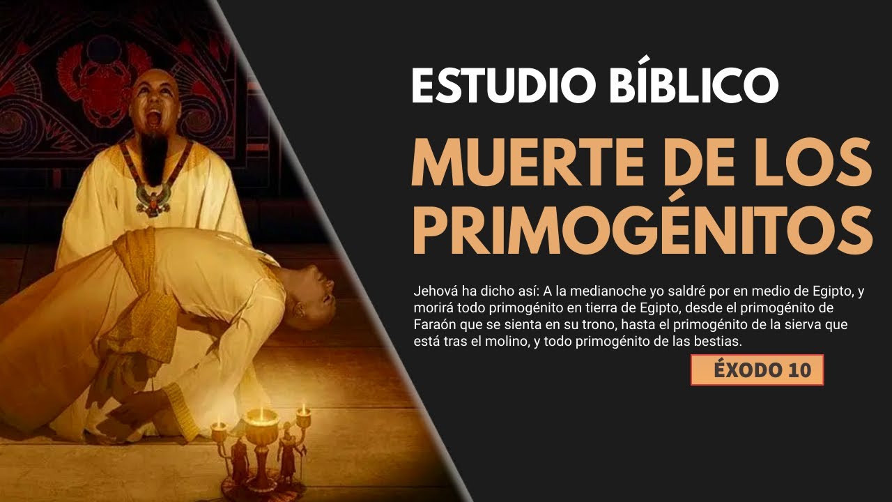 Estudio Bíblico |  La muerte de los primogénitos - REFLEXIÓN.