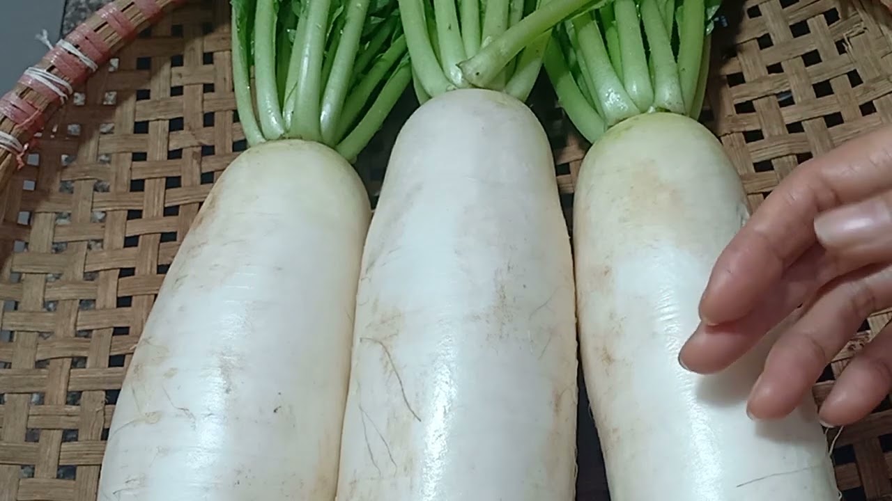 CỦ CẢI TRẮNG KỴ VỚI NHỮNG THỰC PHẨM NÀO ?
