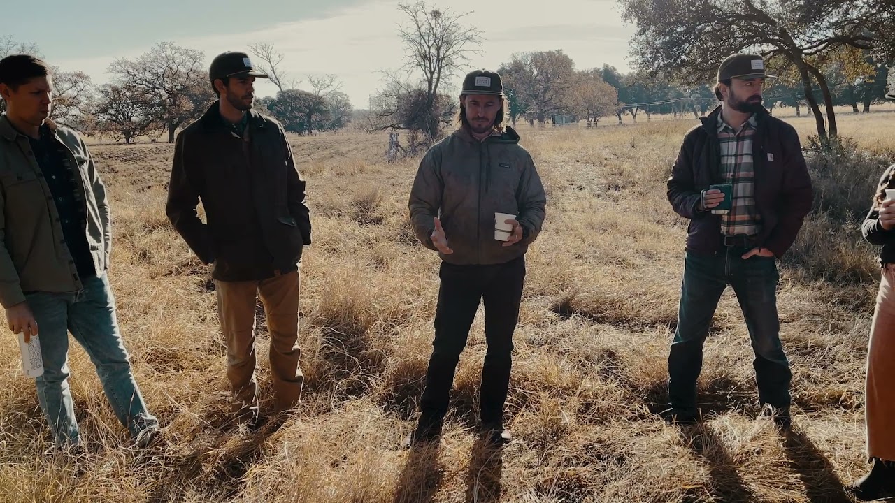 Как Roam Ranch и Force of Nature меняют нашу продовольственную систему к лучшему