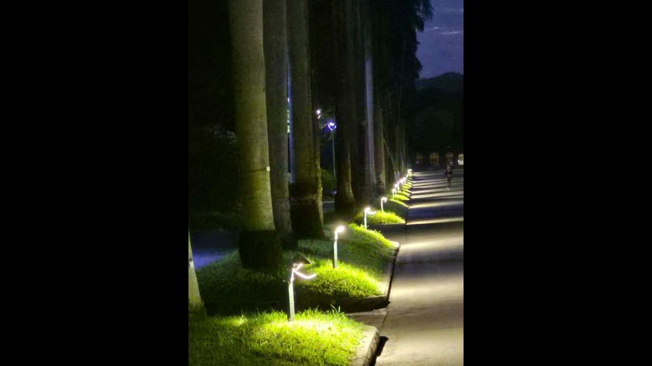 海頓D大調第6號交響曲早晨 小步舞曲HAYDN SYMPHONY NO.6 IN D MORNING