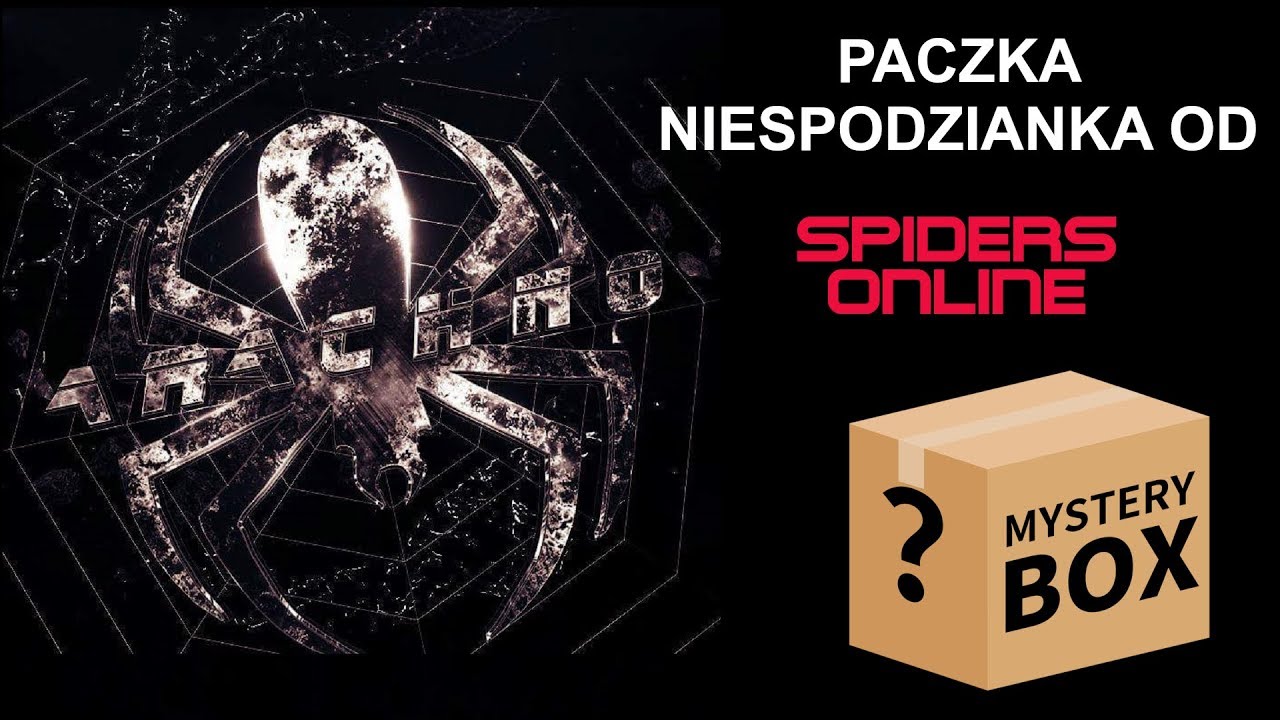 Mystery Box z ptasznikami od SpidersOnline. Paczka niespodzianka