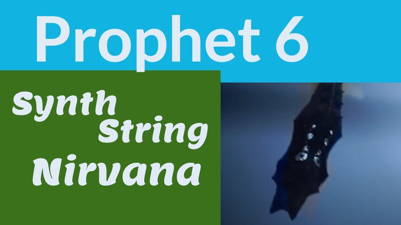 How To: Attaining Synth String Nirvana with the Prophet 6