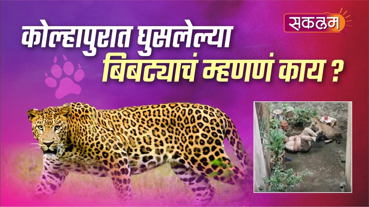 kolhapur | कोल्हापुरात घुसलेल्या बिबट्याचं म्हणणं काय?