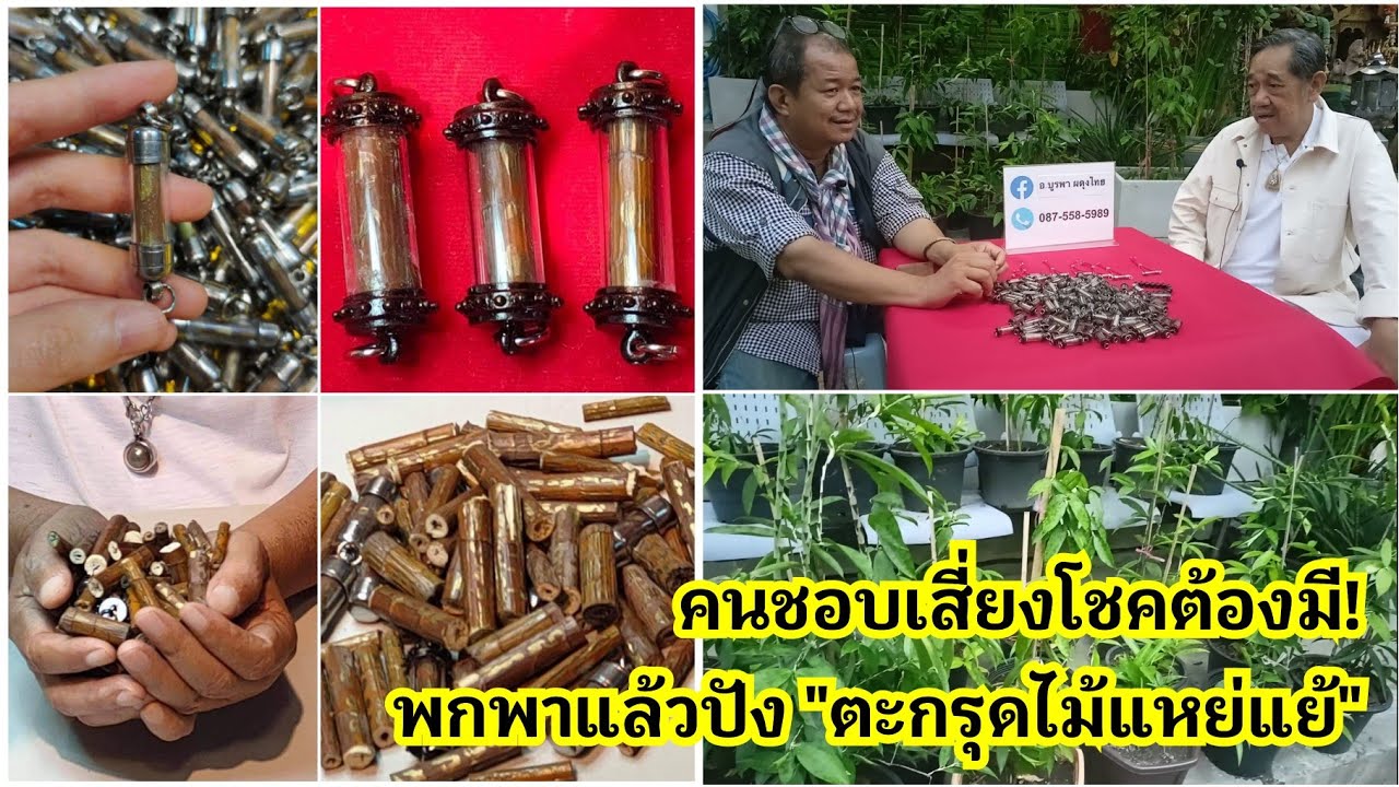 คนชอบเสี่ยงโชคต้องมี!...พกพาแล้วปัง 