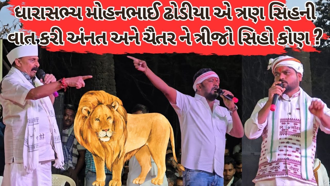મહુવાની ધરતી પર ગરજ્યા મોહન ધોડિયા અનંત પટેલ અને ચૈતર વસાવાને કહ્યા 'સિંહ', જાણો કોણ છે ત્રીજો સિંહ?