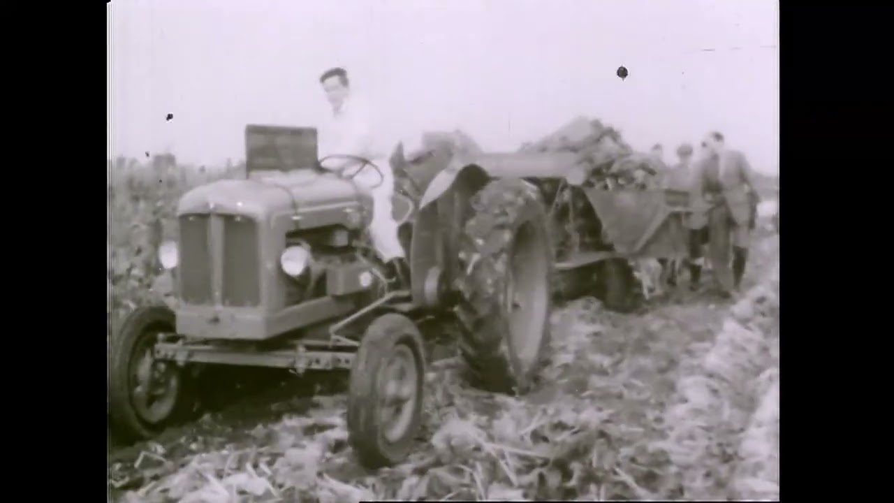 FORDSON DIESEL MAJOR BEET HARVESTING
