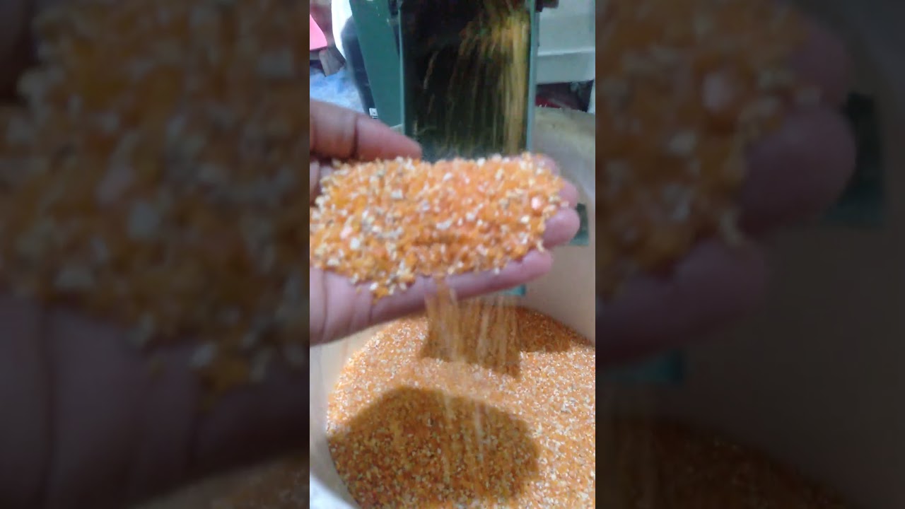 proses jagung pecah