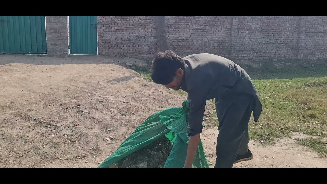 ✔️باغ اور باغیچے دوستو اس ویڈیو میں اج میں اپ کو دکھاؤں گا🌾👍🏻