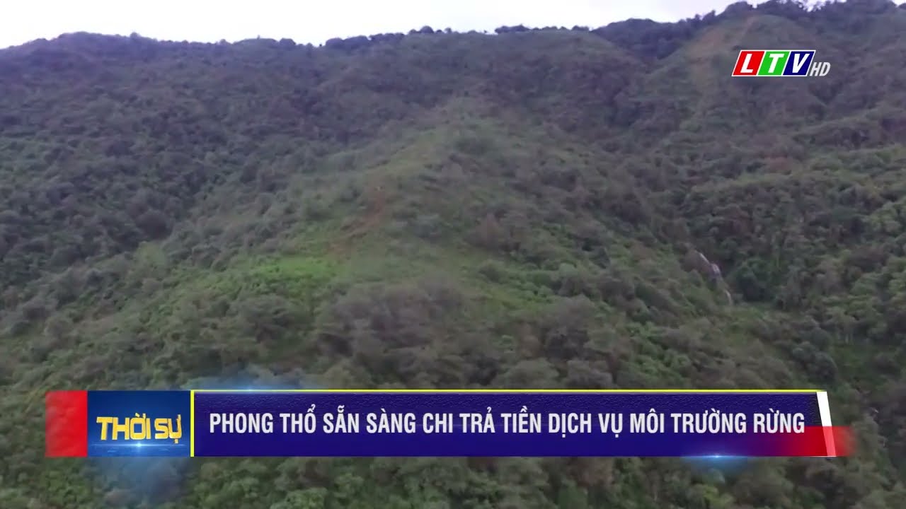 Phong Thổ chuẩn bị chi trả dịch vụ m&ocirc;i trường Rừng