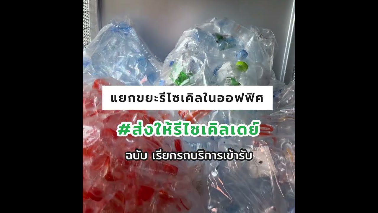 ขยะรีไซเคิลในออฟฟิศให้ Recycle Day ช่วยจัดการ | วิธีแยกขยะรีไซเคิลรับคะแนน รถบริการเข้ารับในกทม.