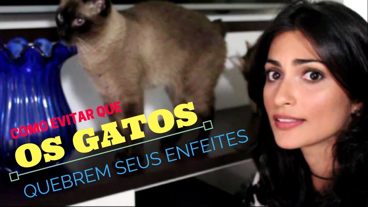 COMO EVITAR QUE OS GATOS QUEBREM SEUS ENFEITES