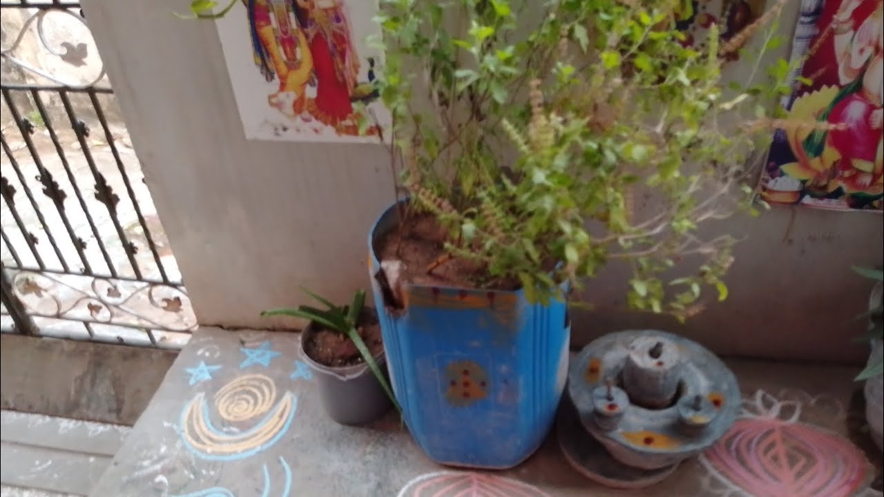 ఫెస్టివల్ &natur యూట్యూబ్ వీడియోస్ 