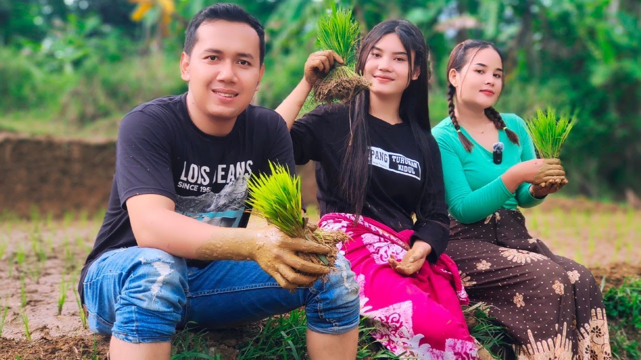 NEKAD..‼️BOS GANTENG KAYA RAYA MAU TURUN KESAWAH BANTUIN NENG YULI GADIS CANTIK NANDUR PADI DI SAWAH