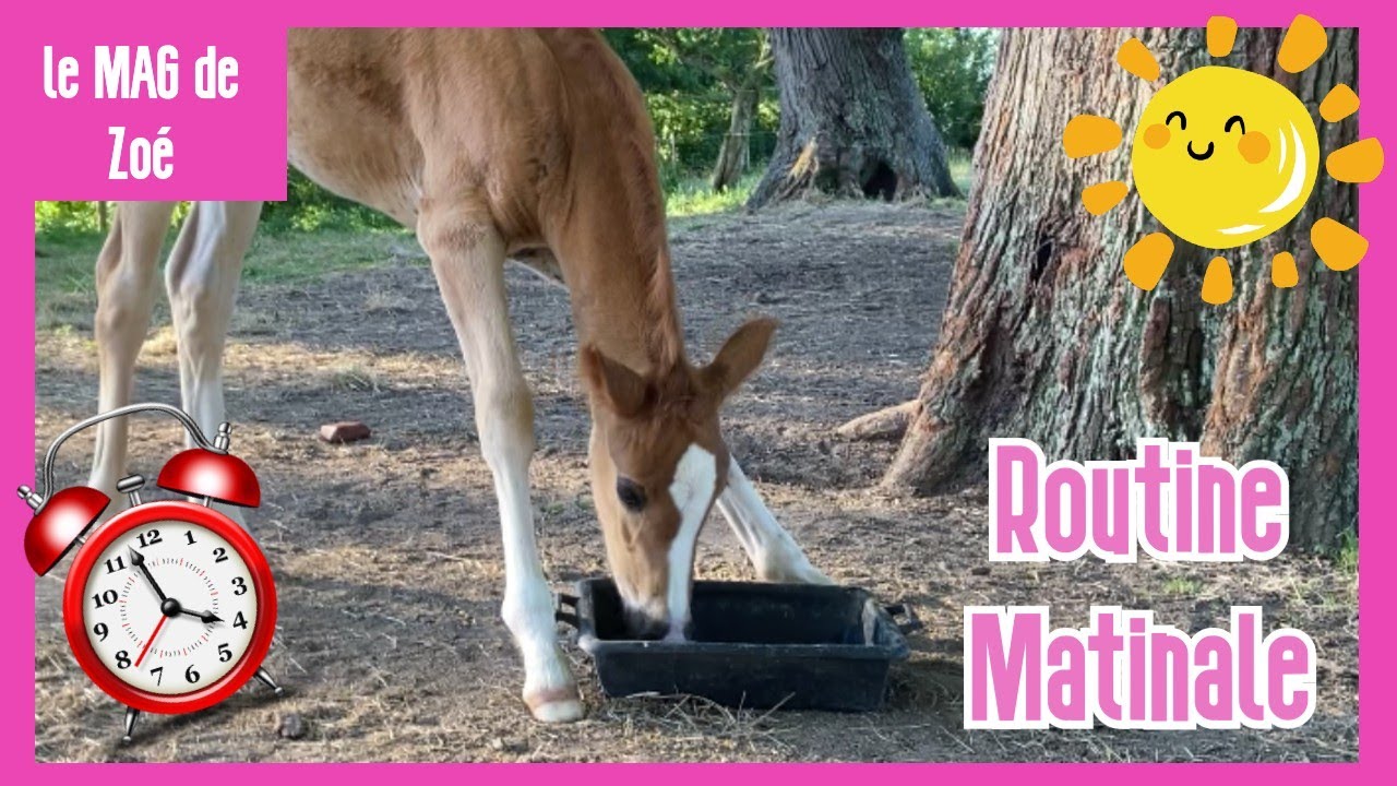 Le MAG de Zoé : Routine matinal vacances d'été !