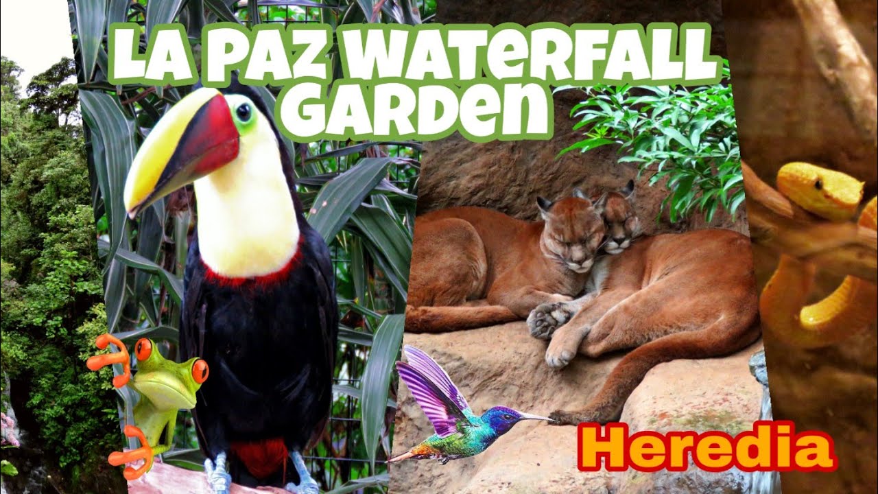 🔴Visite La Paz Waterfall Garden en heredia Costa Rica