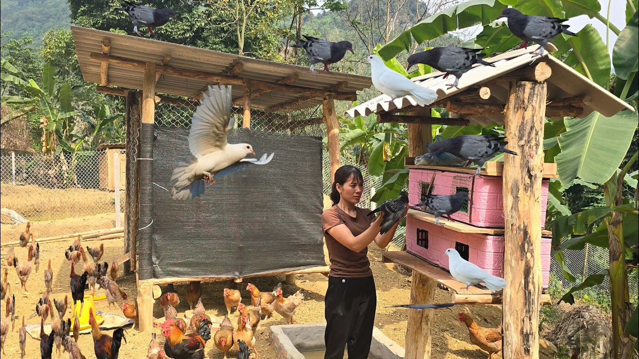 Historia młodej oficerki po opuszczeniu wojska, budującej farmę w lesie...