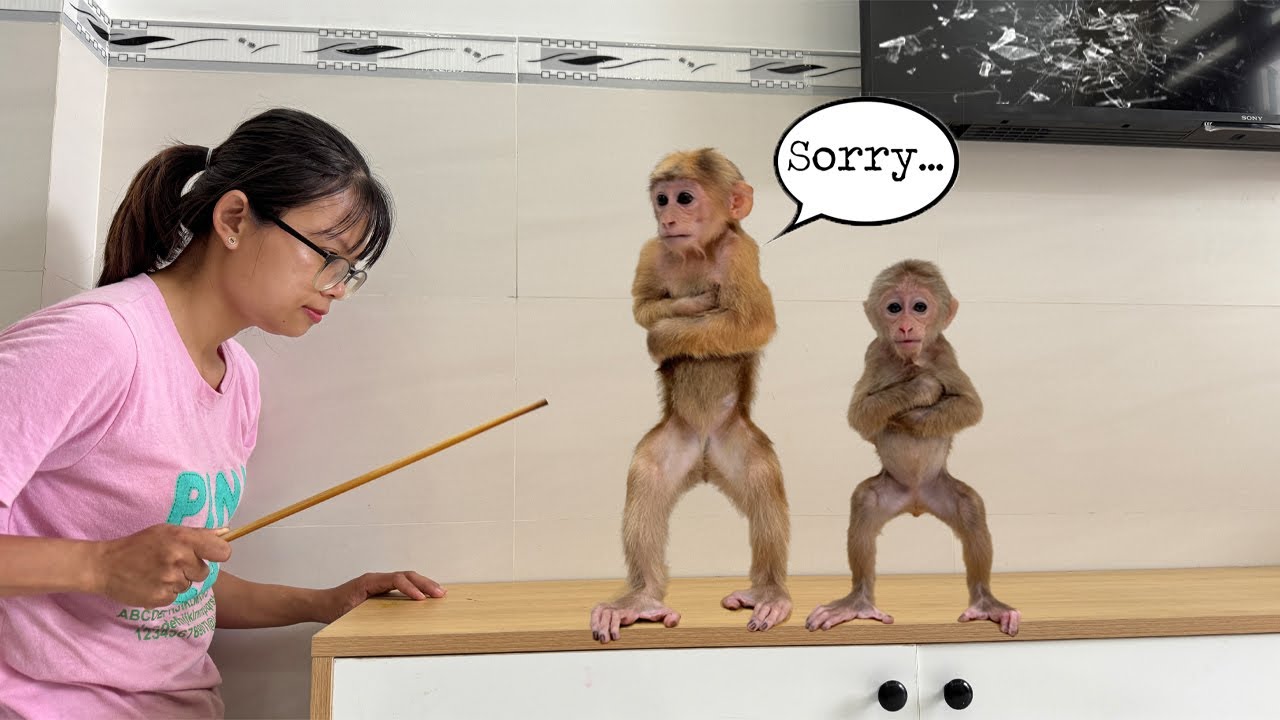 👉 What did Lucky and Sunny do to get punished by Mom