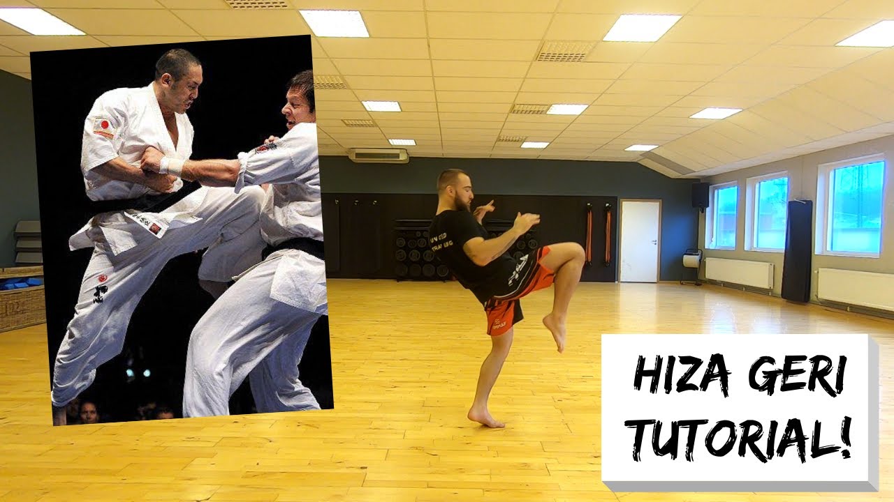 Hiza Geri. Kyokushin Knee tutorial. Karate for MMA. Episode 13.