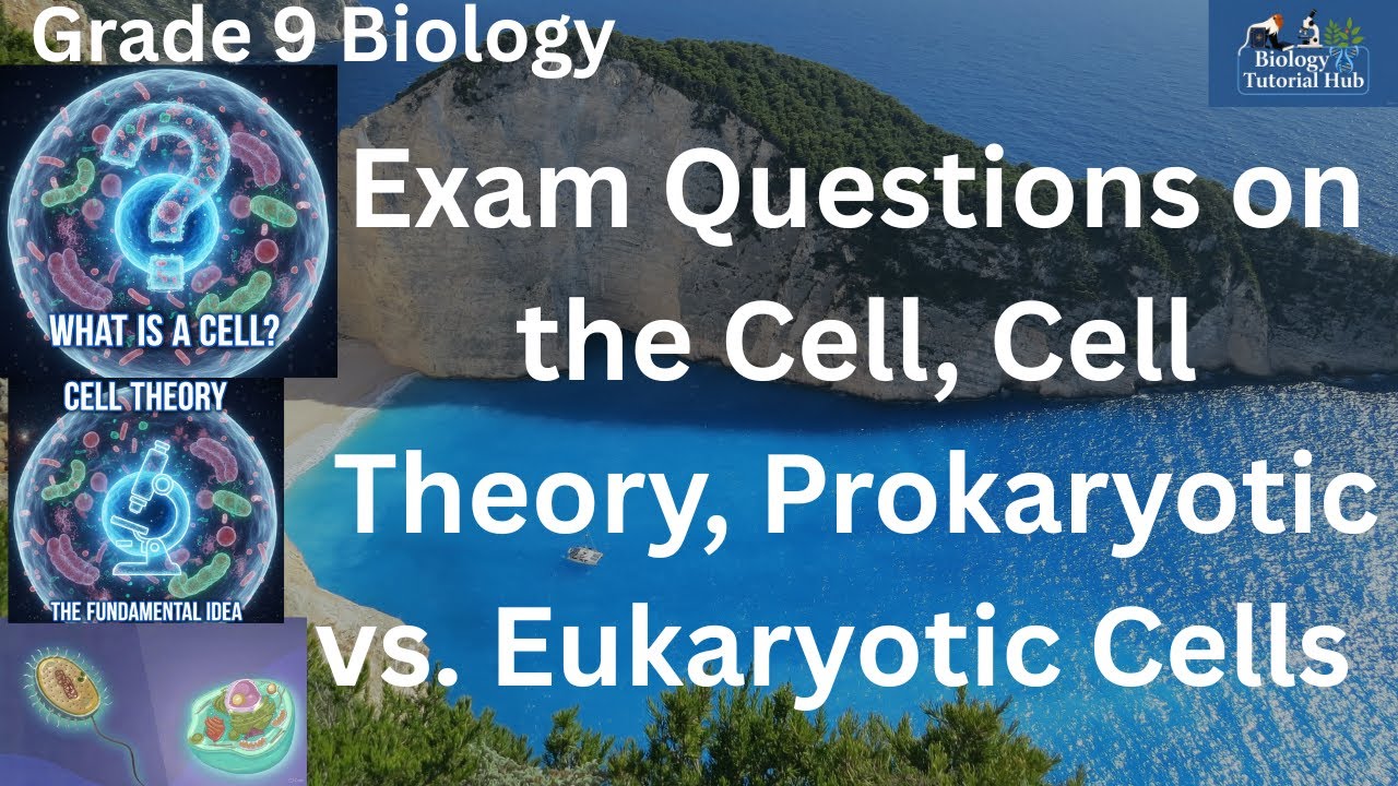 Most Expected Exam Questions on the Cell, Cell Theory, Prokaryotic vs  Eukaryotic Cells (Grade 9)