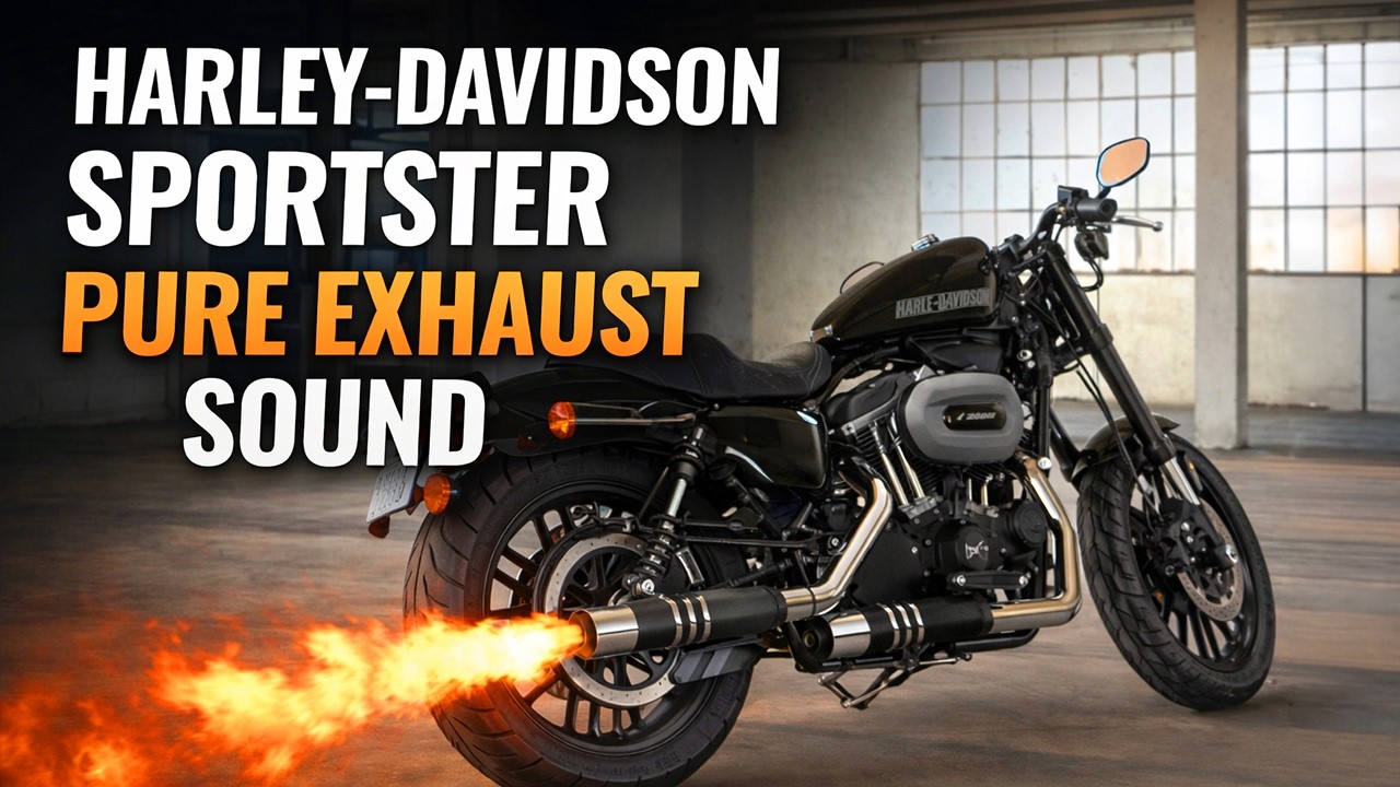 Harley-Davidson Sportster Raw Exhaust Sound 🔥 | Pure V-Twin Rumble