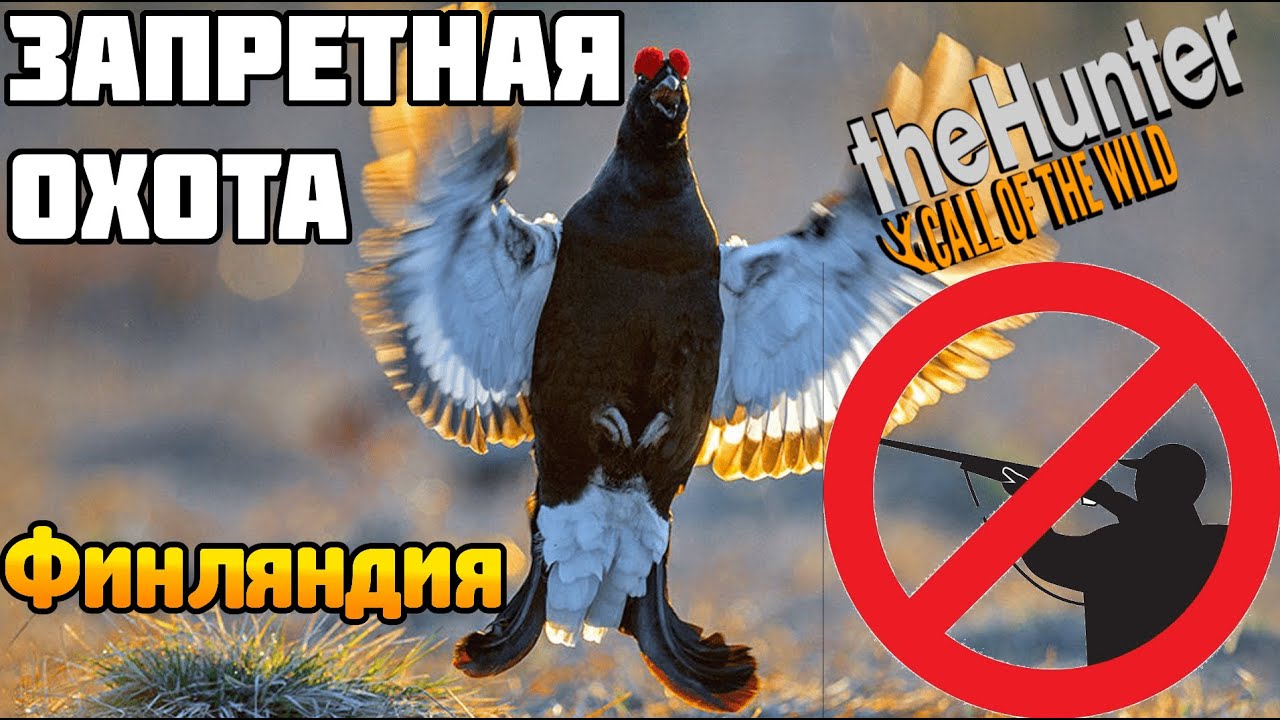 ЗАПРЕТ на ОХОТУ theHunter Call of the Wild Большой ОБЗОР Revontuli Coast