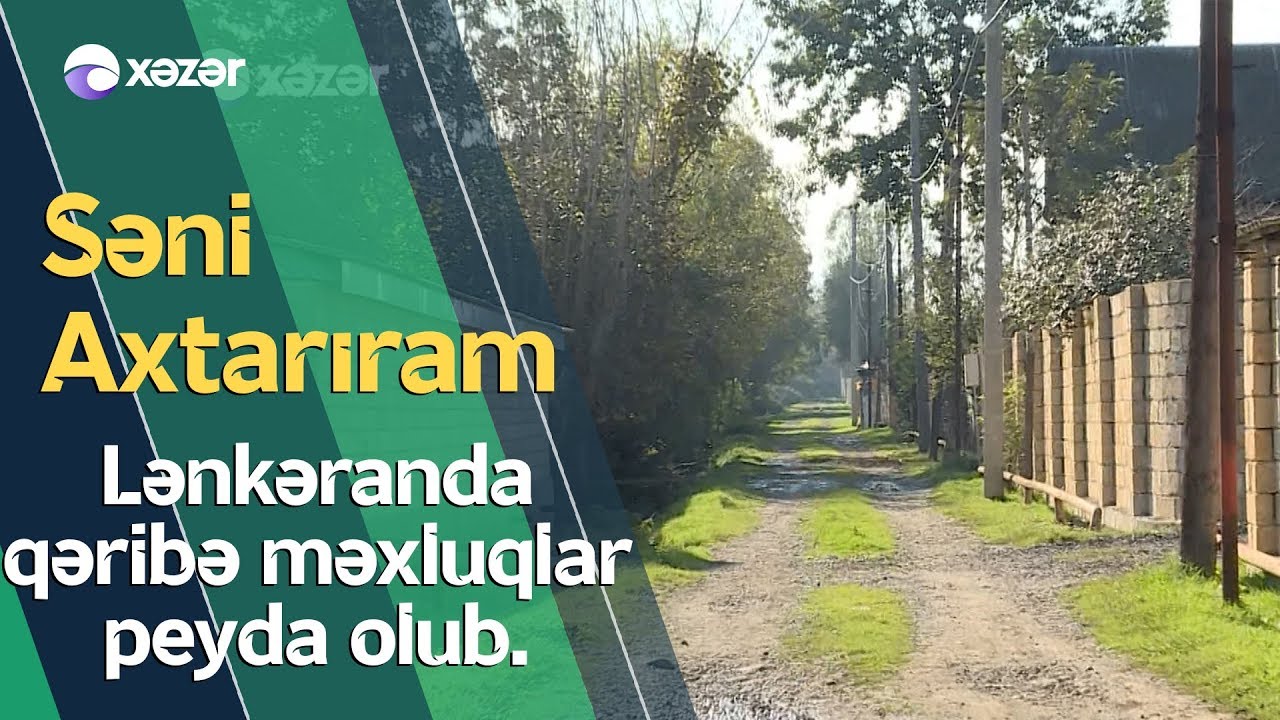 Lənkəranda Bir Ailəni Qaranlıqda Yaşamağa Məcbur Edən Hansı Məxluqdur?