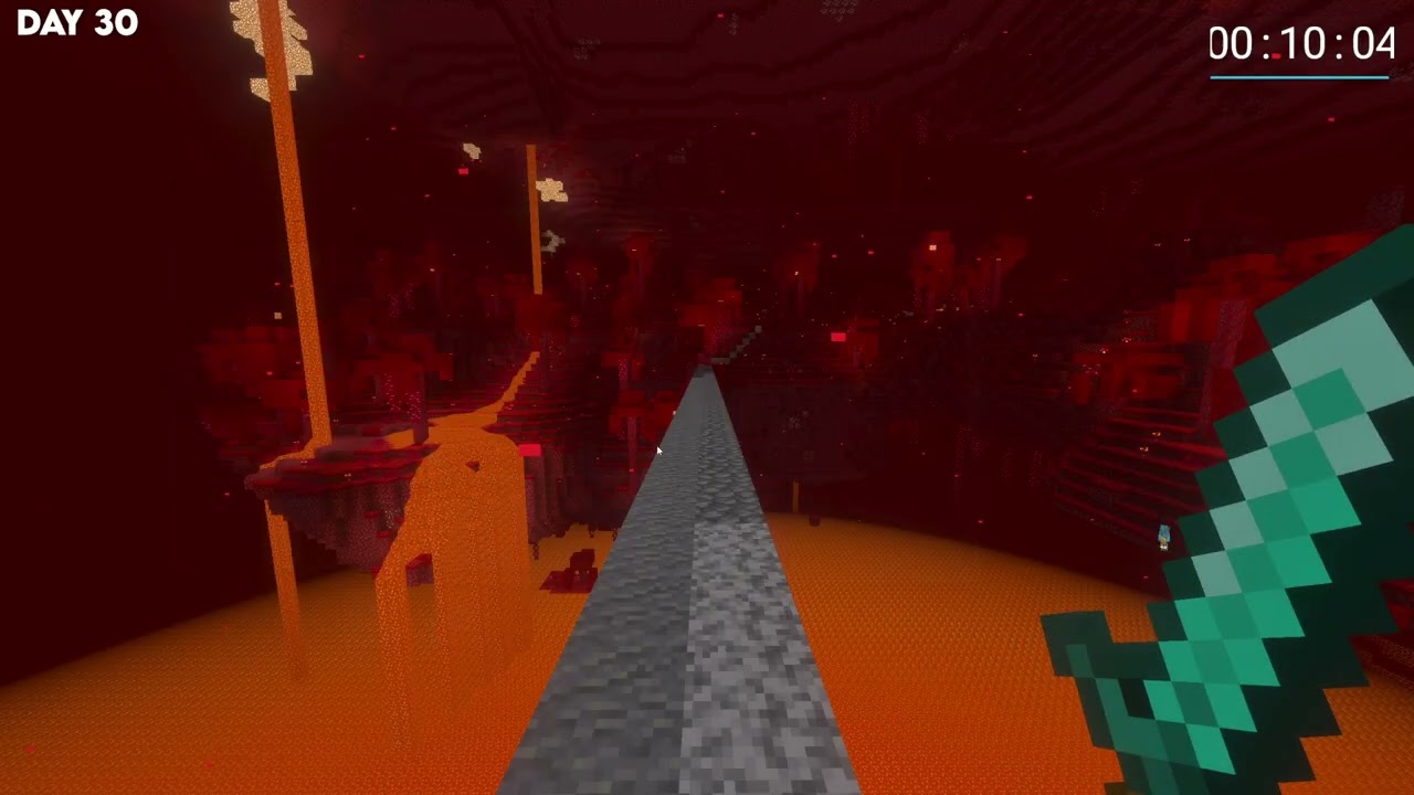 MTCC Day 30 - I found a Fortress!