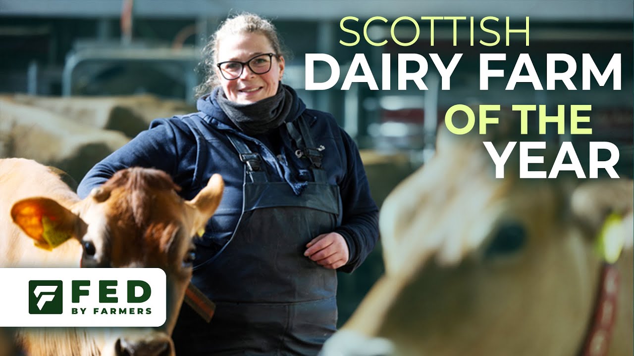 Leanne Bertram - Scottish Dairy Farm of the Year 2025 and milking Jersey cows for Graham's Dairy