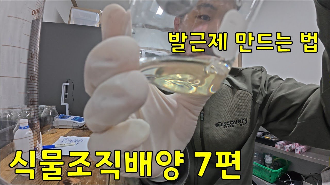 삽목 발근제 비밀 공개합니다!