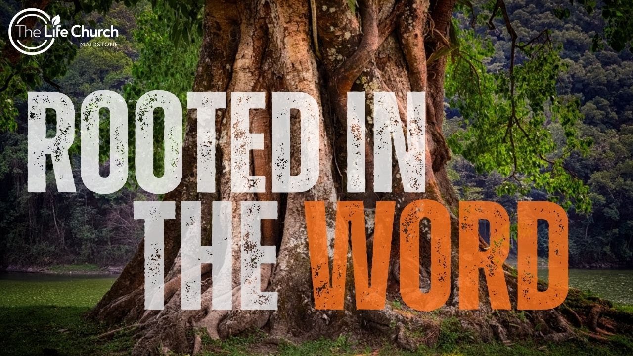 Why you need the Word of God | Rooted in the Word