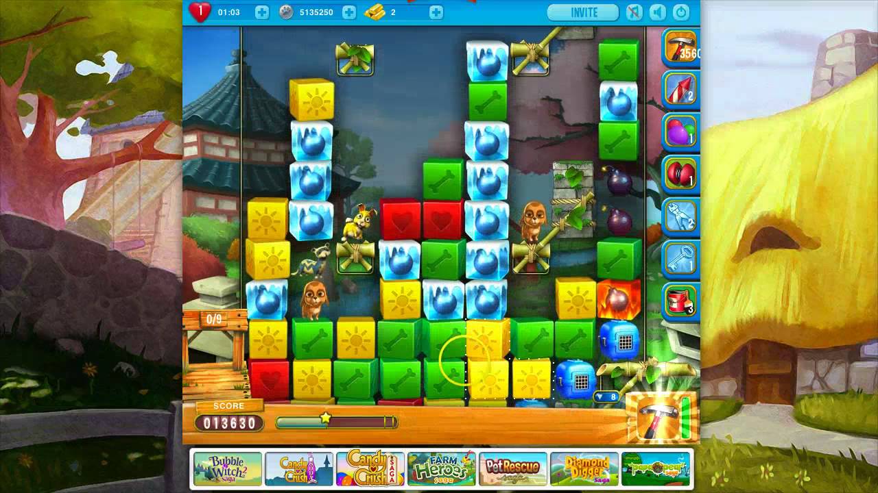 Pet Rescue Saga Level 559 (no boosters)