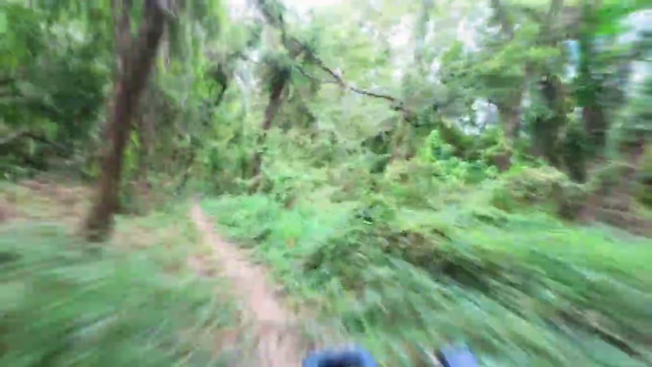 Sugarland's BRT Mindbender 2X Speed 