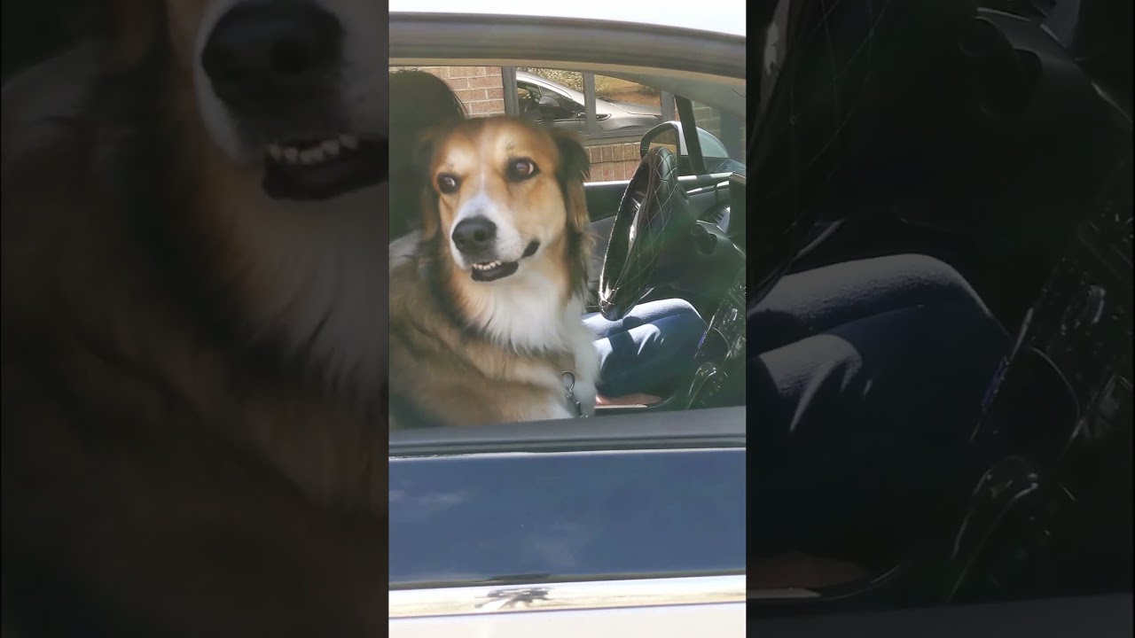 Hey Lady... She Wants the Nuggets!