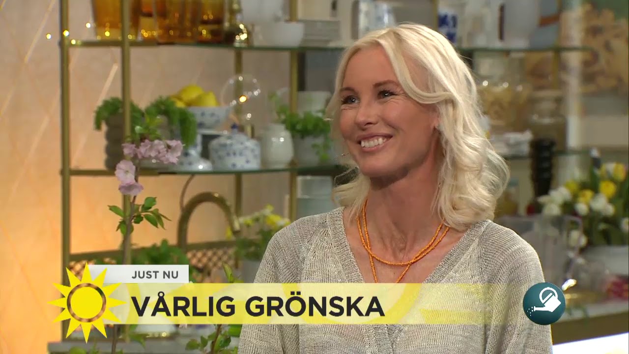 Så planterar du fina marktäckare - här är Victoria Skoglunds bästa tips - Nyhetsmorgon (TV4)