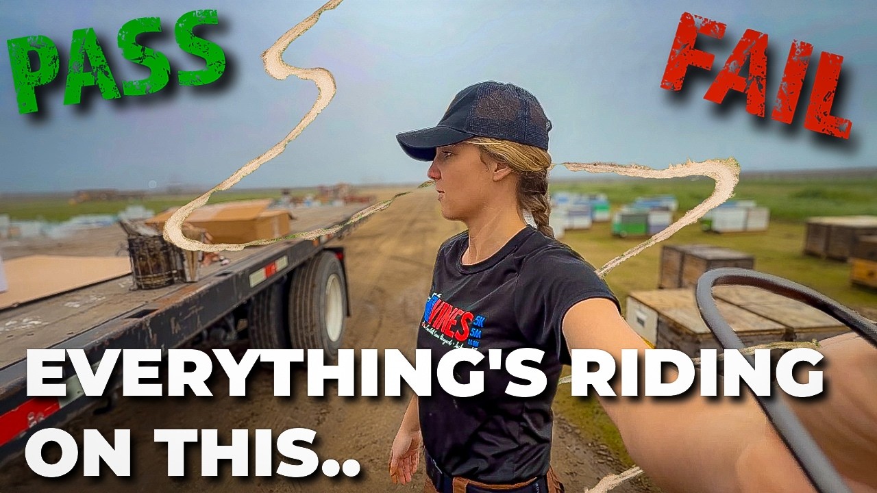 Almond Pollination Is Brutal—Did Our Bees Make the Cut? #beekeeping