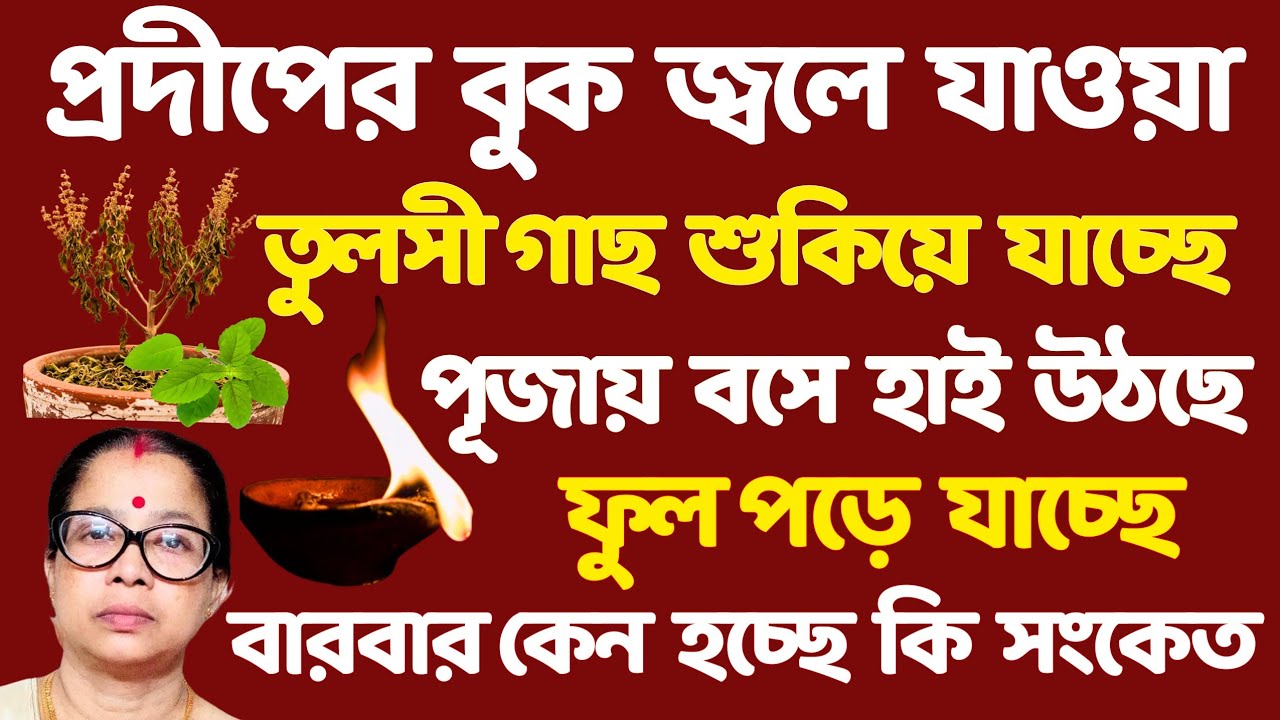 তুলসী গাছ শুকিয়ে গেলে প্রদীপের বুক জ্বলে গেলে হাই উঠলে ফুল পড়লে এই উপায়টি করুন।