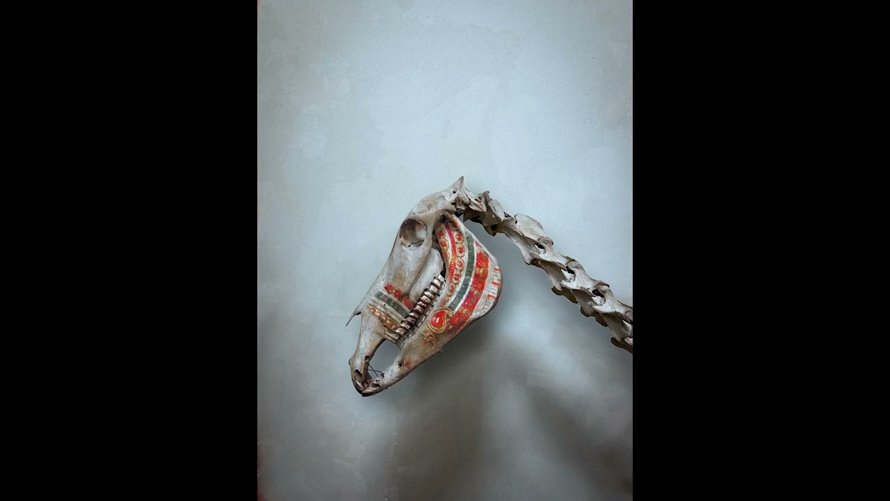 Yaj&ntilde;a ( Live Version )