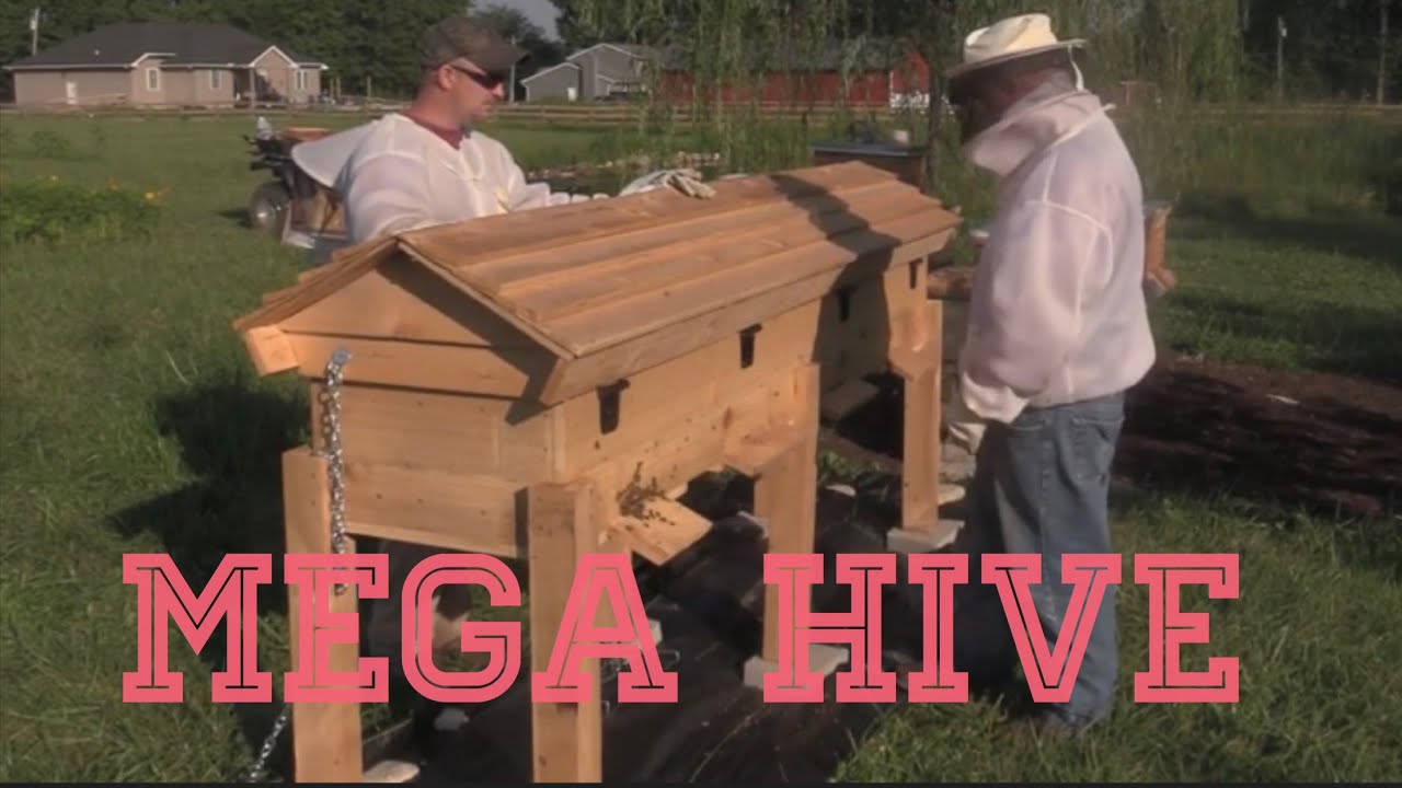 Mega horizontal hive